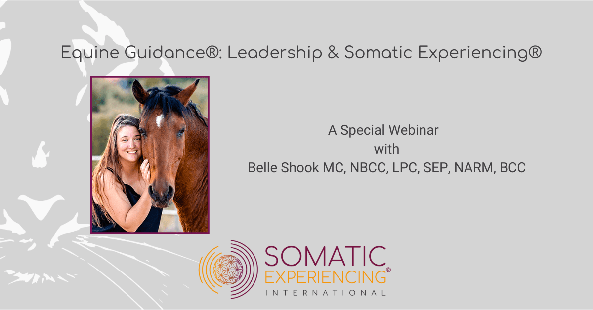 Equine Guidance: Leadership and Somatic Experiencing – Belle Shook, MC, NBCC, LPC, SEP, NARM, BCC