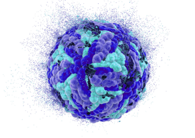 Inflammatory Cytokines and PTSD – Review of Evidence and Cytokine Storm in COVID-19
