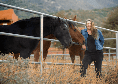 Equine Guidance® and the Power of Doing Nothing