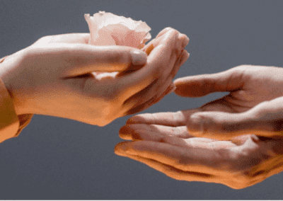 Letter from SEI Development Manager, Emily Tworek