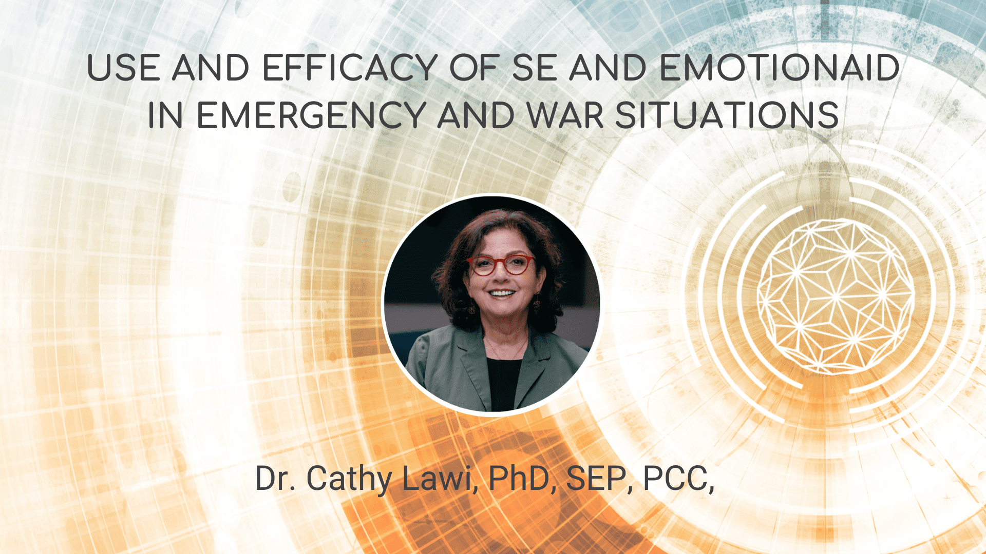 Use and Efficacy of SE and EmotionAid in Emergency and War Situations – Cathy Lawi, PhD, PCC