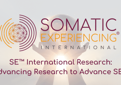 SE™ Institute Research Committee Webinar Advancing Research to Advance SE