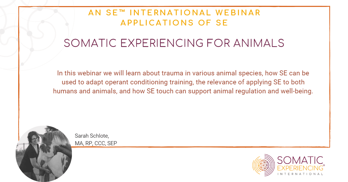Somatic Experiencing For Animals – Sarah Schlote, MA, RP, CCC, SEP