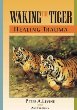 Waking the Tiger, Tiger
