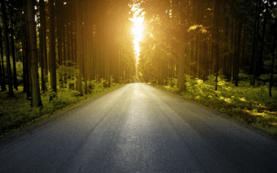 Transforming Trauma: A BIPOC Journey Through Somatic Experiencing®