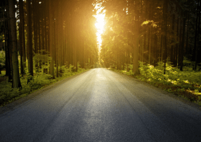 Transforming Trauma: A BIPOC Journey Through Somatic Experiencing®