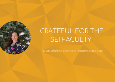 Letter from SEI's Managing Director of Programs, Sonja Cole
