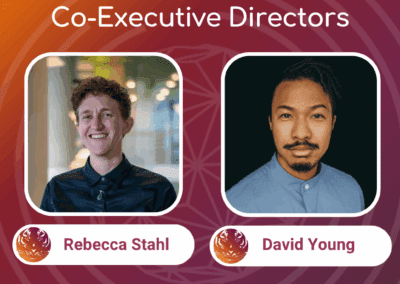 A Letter From the SEI Co-Executive Directors