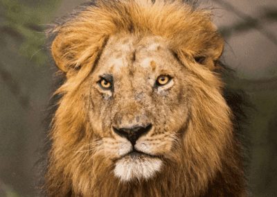SE™ in Kenya: Training, Transformation, and Community